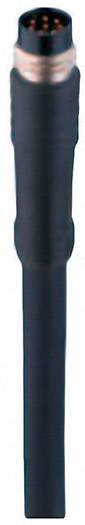 Belden 934636169-1 Sensor-/Aktor-Steckverbinder, konfektioniert M8 Stecker, gerade 2.00 m Polzahl Sensoren: 8 1 St.