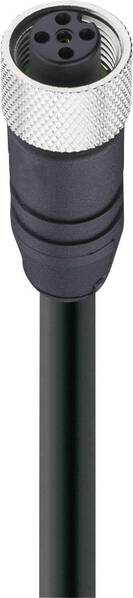 Belden 10973-1 Sensor-/Aktor-Datensteckverbinder, konfektioniert M12 Buchse, gerade 3.00 m Polzahl Sensoren: 5 1 St.