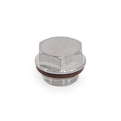 Ganter Norm® - 742.5-22-G3/8-O-1 Edelstahl-Verschlussschrauben, Werkstoff Nr. 1.4404 (A4)