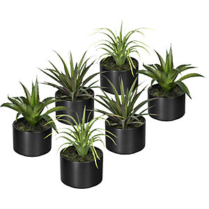 Aloe, Agave Tillandsie, im Keramiktopf, VE 6 Stk, Höhe 250 mm, 3-fach sortiert.