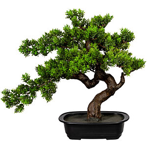 Bonsai Myrte, HxB ca. 400 x 400 mm, in Kunststoffschale.